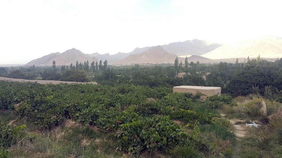 د لوګر په څرخ کې يو زيارت پر بمونو الوځول شوى