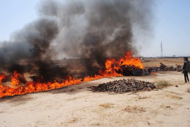 Nearly 5 tonnes of drugs torched in Kunduz
