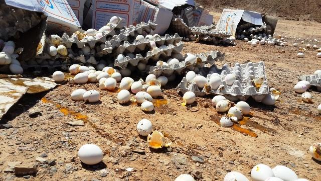 720,000 eggs imported from Iran set ablaze in Farah