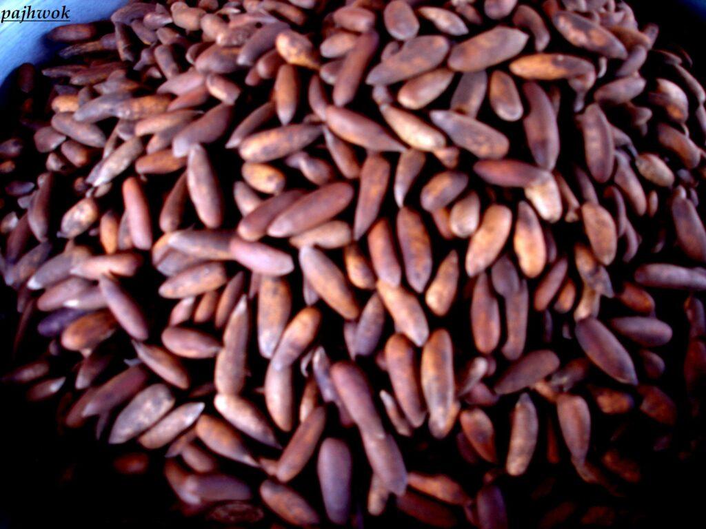 د پکتيا اوسېدونکي : سږکال د جلغوزو حاصلات ډير دي خو بيه يې ټيټه ده