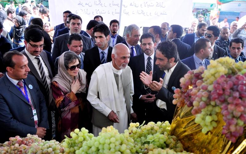 Agriculture development cornerstone of stability: Ghani