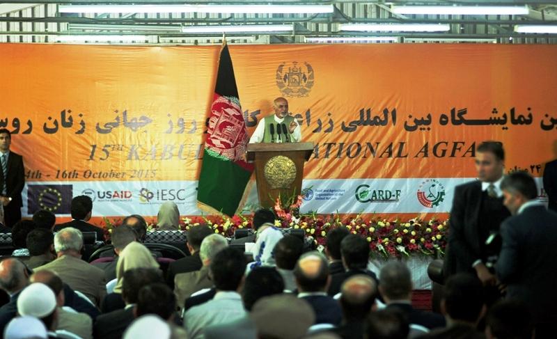 “از پشتیبانی تان از نیروهای امنیتی و دفاعی قدردانی می کنم”