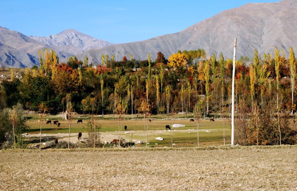 14,000 tourists visited Badakhshan last year