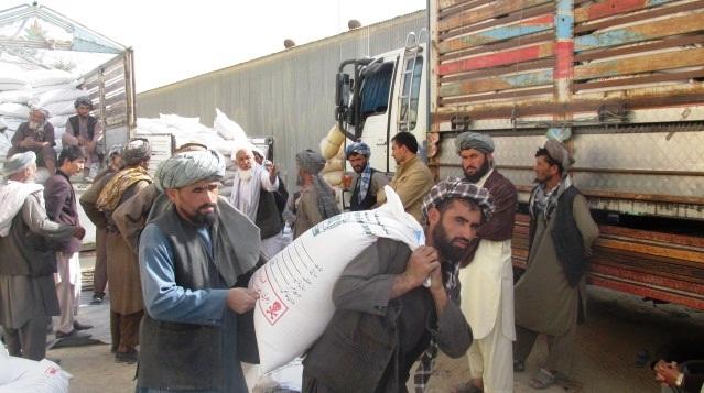 براى صدها دهقان در سمنگان آموزشهاى لازم کشت حبوبات داده شد