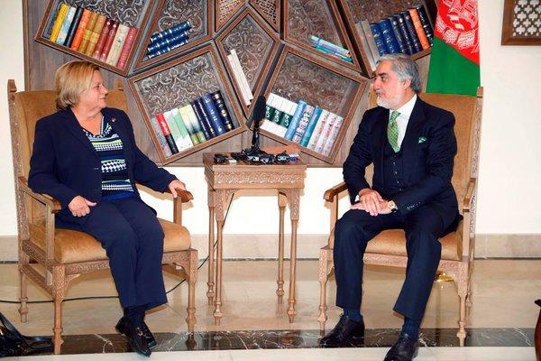 Afghanistan needs sustainable US assistance: CEO
