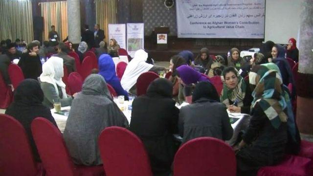 Baghlan women say deprived of govt jobs