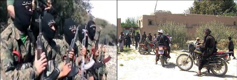 25 Taliban, 7 Daesh insurgents killed in fresh raids