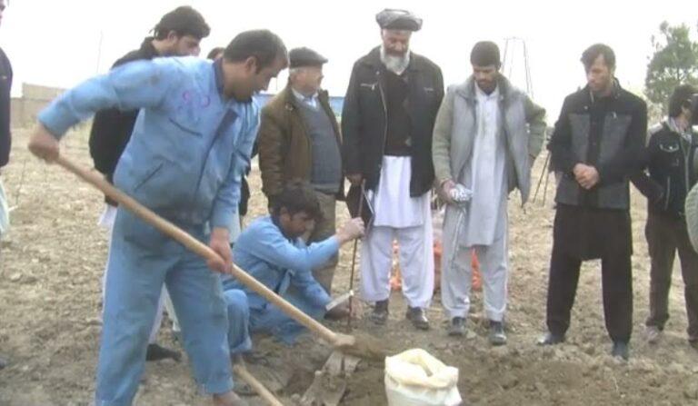 Orchards on 750 acres of land being planted in north