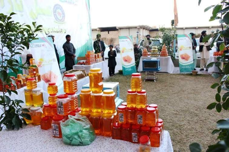 13 tonnes of honey produced in Helmand this year