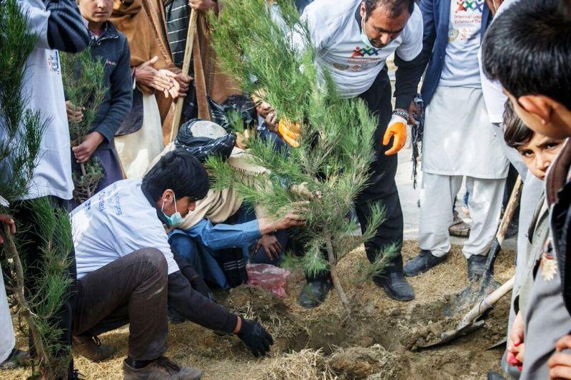 Hundreds of Kabul youth clean up parks, plant trees
