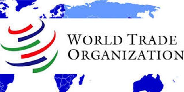 Joining WTO to help resolve Afghan transit trade problems