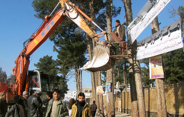 Municipality launched a campaign – Herat