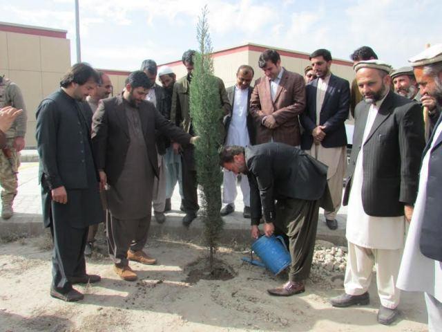 Governor orders halt to forest cutting in Nangarhar