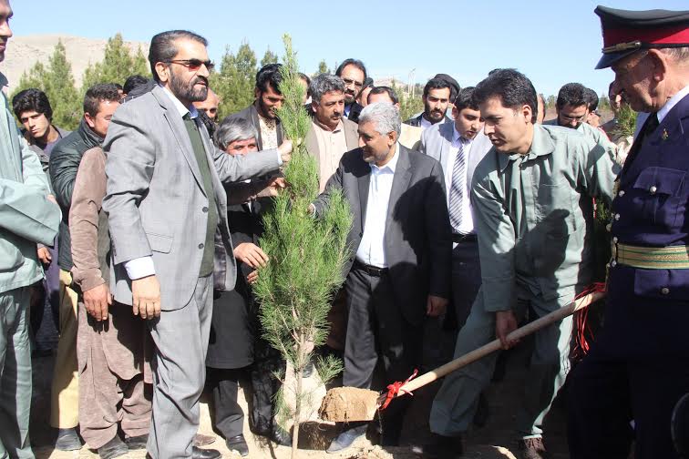 “نگهداری و آبیاری نهال ها وظیفۀ هر شهروند است”