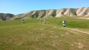 15,000 hectares of farmland cleared of locust in Samangan