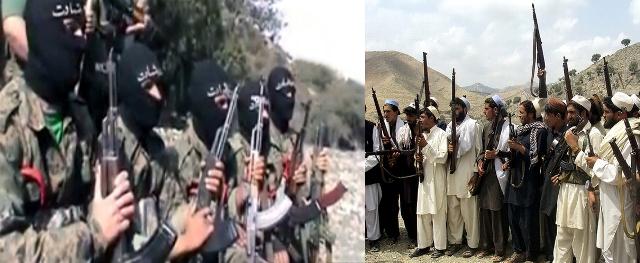 8 Daesh, 2 militiamen killed in Nagarhar clash