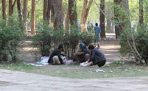 ۲۰۶ معتاد جهت تداوی از ننگرهار به کابل انتقال داده شدند