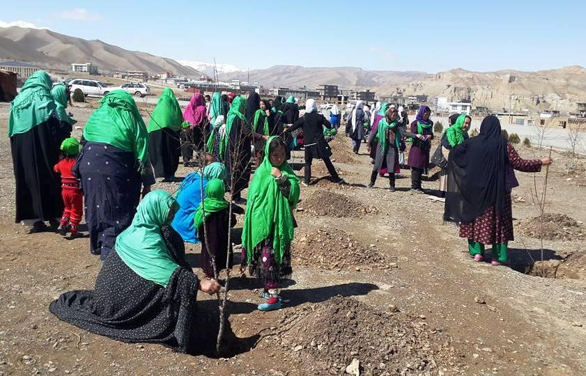 Spring tree plantation drive launched in Bamyan