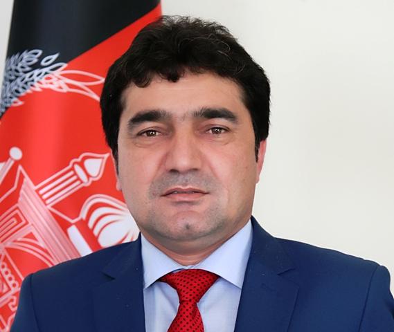 “د سولې په اړه د حکومت طرحه مشخصه او واضح ده”