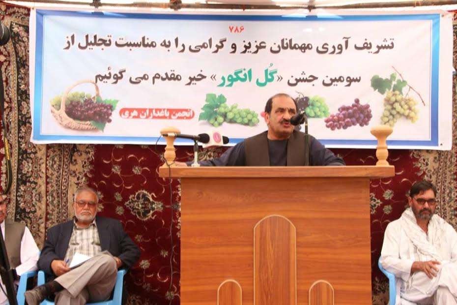 جشن گل انگور در هرات برگزار شد