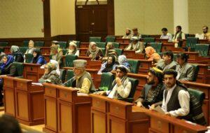 Senate slams Gilani for pro-Pakistan remarks