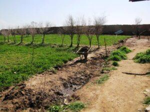 3,400 home gardens boost women’s incomes: MAIL