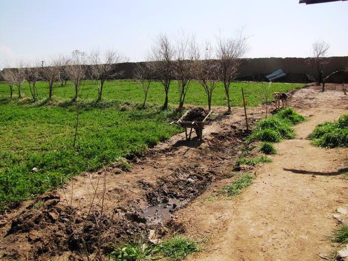 57 garden projects implemented on rain-fed land in Takhar