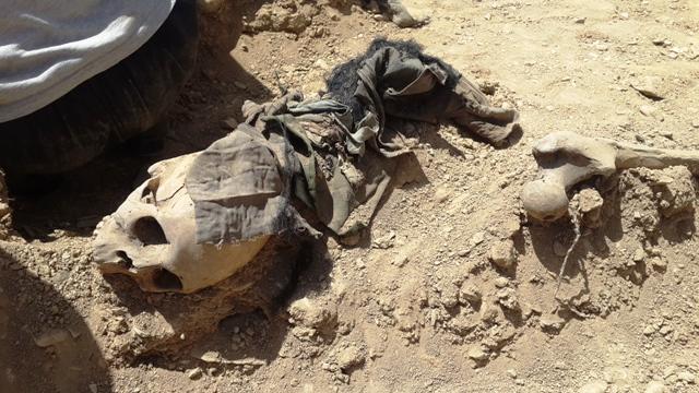 Research on Bamyan mass grave discovery launched