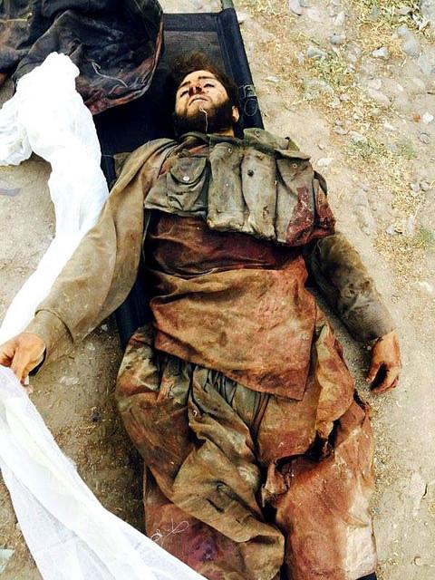 Taliban commander for Shewan killed in Farah clash