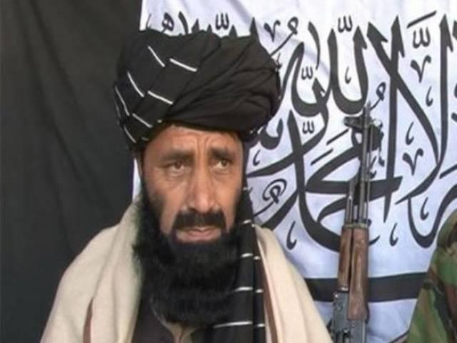 Pakistani Taliban leader killed in Paktika airstrike