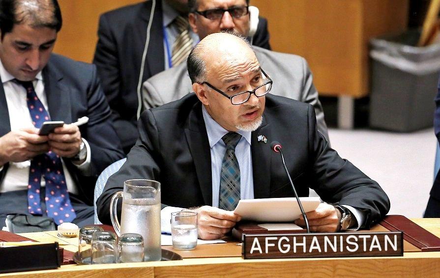 Terrorism in Afghanistan has outside links: Saikal