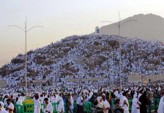 1.5m Muslims throng Mount Arafat as hajj reaches climax