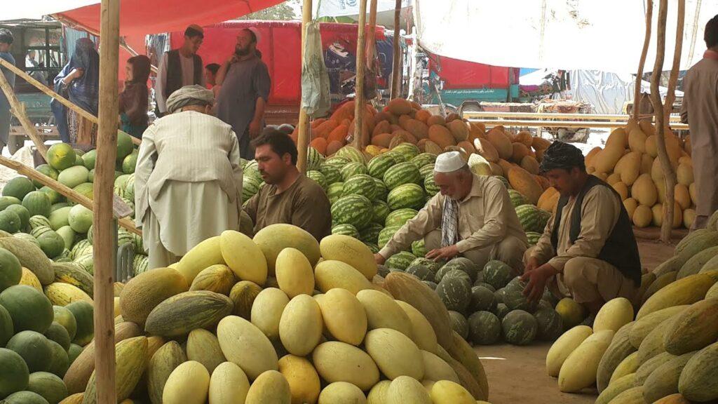 Drought-hit Samangan farmers happy with fruits income