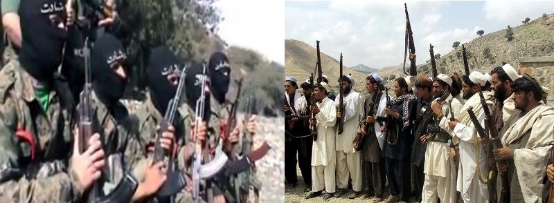 Nangarhar: 4 Daesh gunmen killed, 2 captured