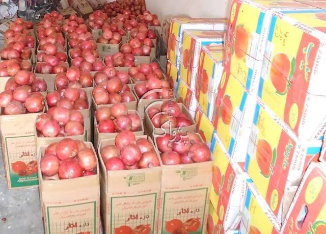 امسال در صادرات انار کندهار ٤٣ درصد افزايش خواهد آمد