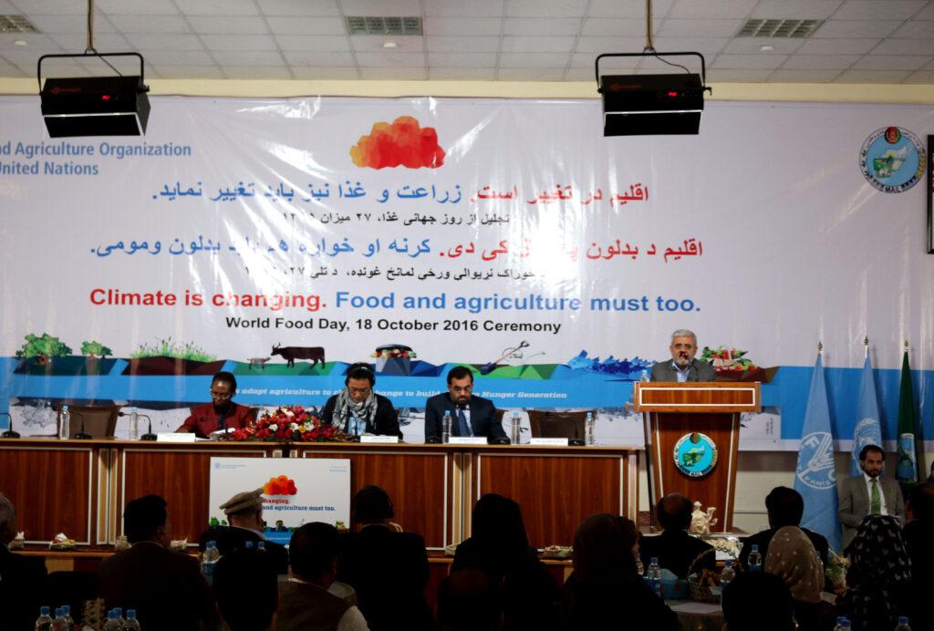 ٤٠ درصد مردم افغانستان از مصوونیت غذایی درست برخوردار نیستند