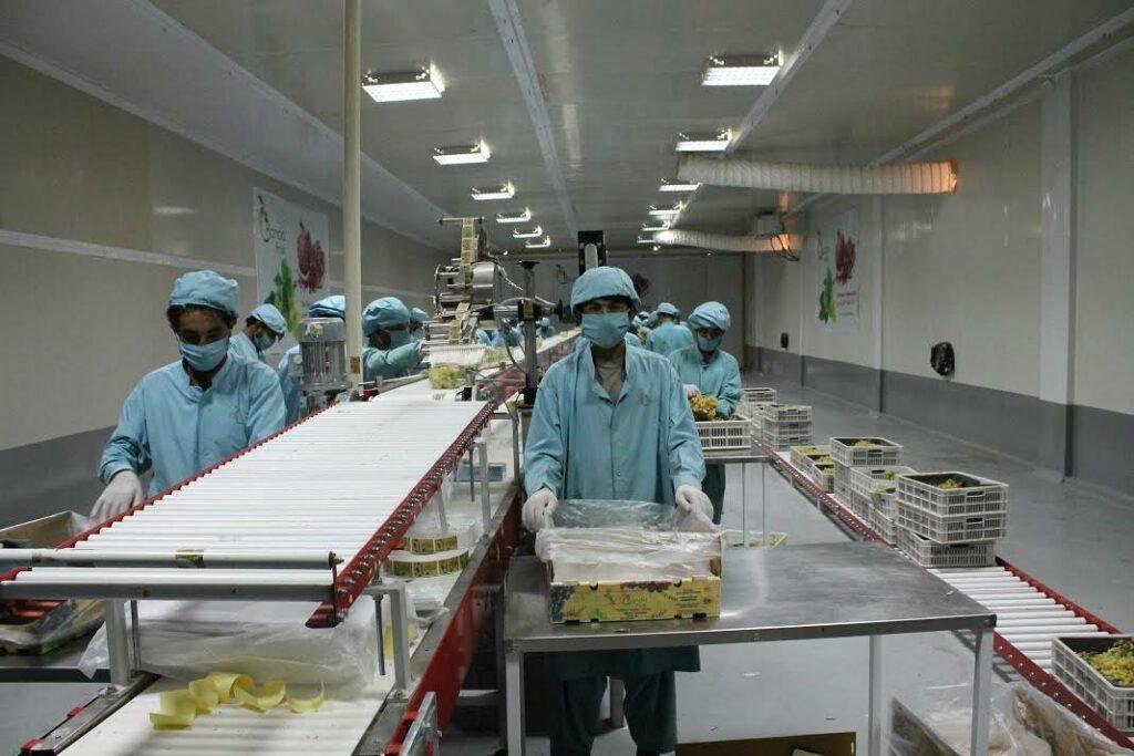 New fruits processing factory established in Kandahar