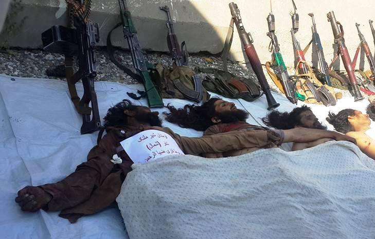 20 Daesh, Taliban insurgents eliminated in the east