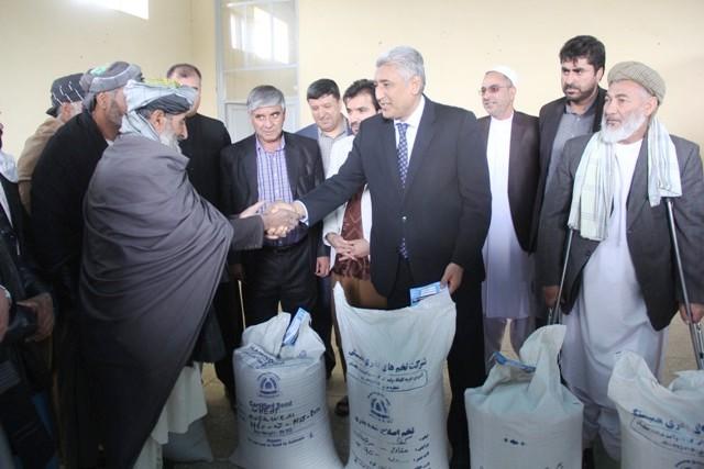روند توزیع تخم های اصلاح شده بذری و کود کیمیاوی در هرات آغاز شد