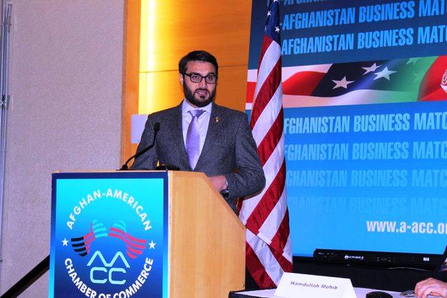 Efforts on to protect foreign investment: Afghan envoy