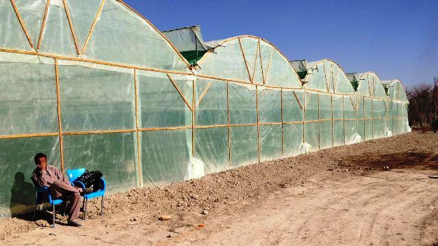 100 greenhouses being established in Khost
