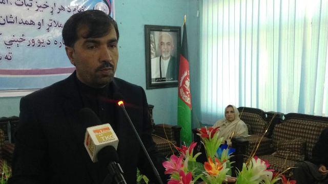 Public reps fueling tribal dispute in Khost: Habibi