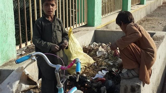 Thousands of children do hard labor in Farah