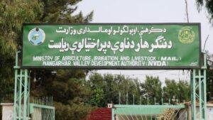 “د ننګرهار د کانال رياست خصوصي سکتور ته سپارل کېږي”