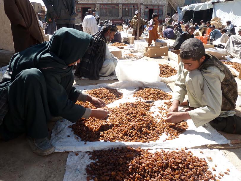 Kandahar dried fruit, herbal exports up by 41pc