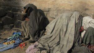 ‘New govt should to prevent cultivation, production of drugs’