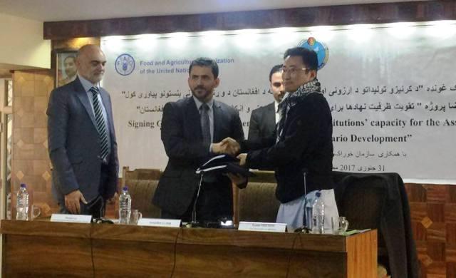 پروژۀ بهبود ظرفیت نهادهای ارزیابی تولید و توسعۀ زراعت آغاز گردید