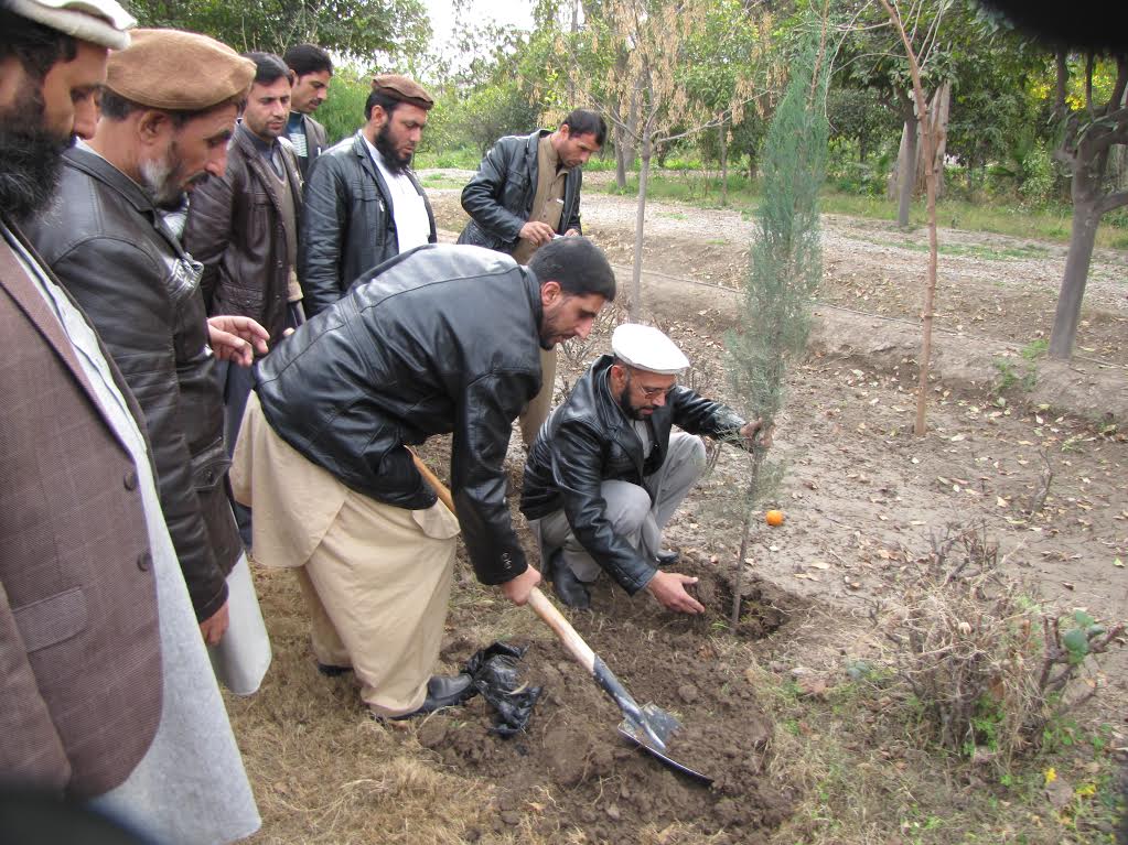 Nangarhar: 2.8m trees to be planted this spring