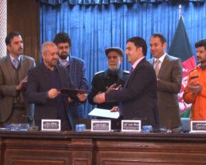 Stray dogs to be registered, vaccinated in Kabul