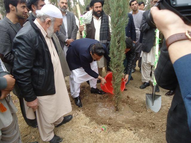 په کندهار ښار او ولسوالیو کې ۱،۵ میلیونه نیالګي ايښودل کېږي